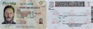 (NEW) FLORIDA Driver License - (NEW) FLORIDA scannable Driver License and ID Cards